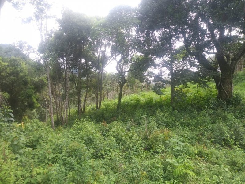 Chácara com 18 alqueires à venda em Guaratinguetá Rua Francisco Santos Reis Guaratinguetá - 