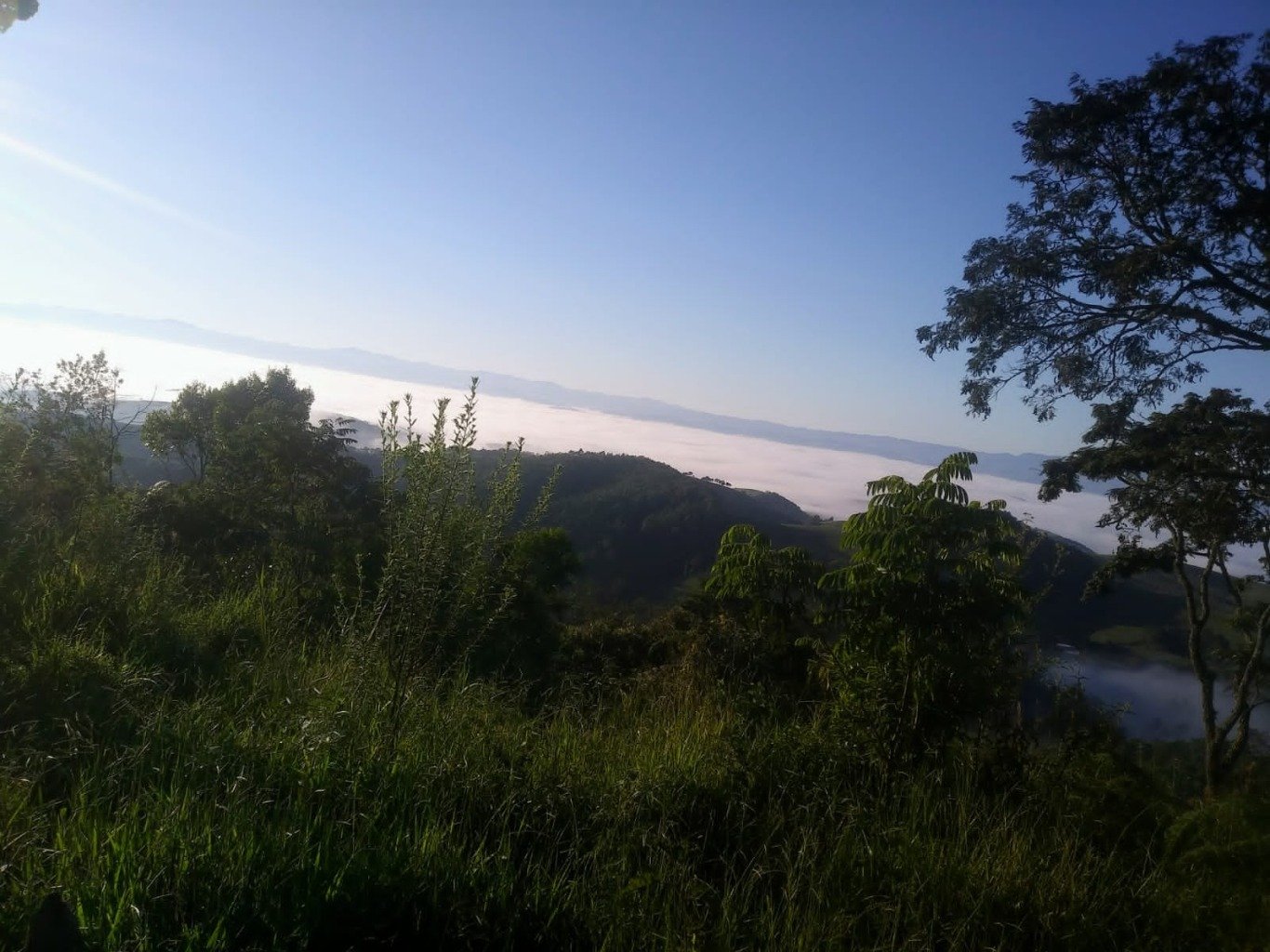 Sítio, 48 hectares - Foto 4