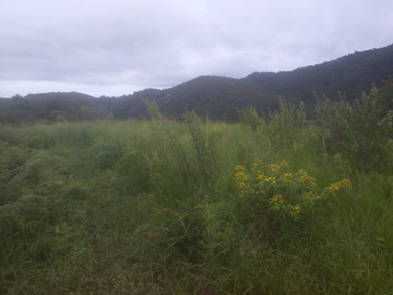 Chácara com 18 alqueires à venda em Guaratinguetá Rua Francisco Santos Reis Guaratinguetá - 