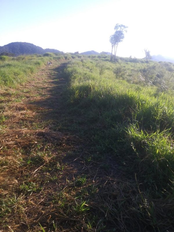 Chácara com 18 alqueires à venda em Guaratinguetá Rua Francisco Santos Reis Guaratinguetá - 