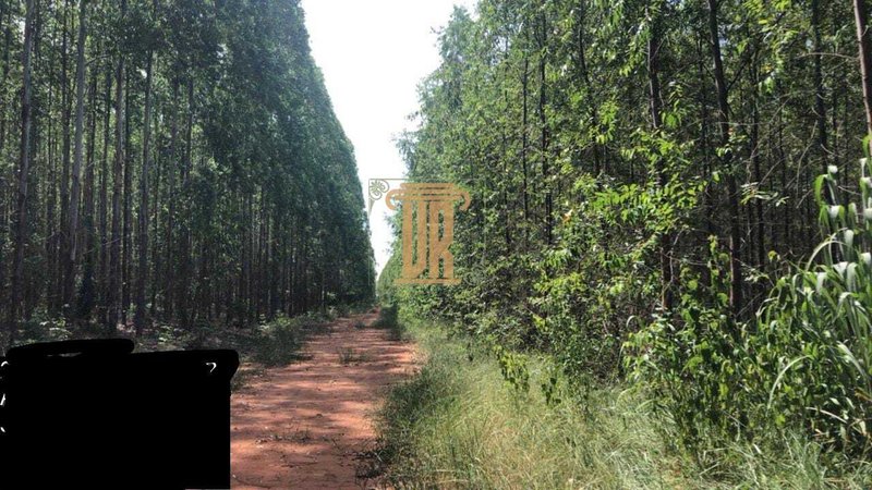 Fazenda de 1.800 alqueires no estado de Minas Gerais  Belo Horizonte - 