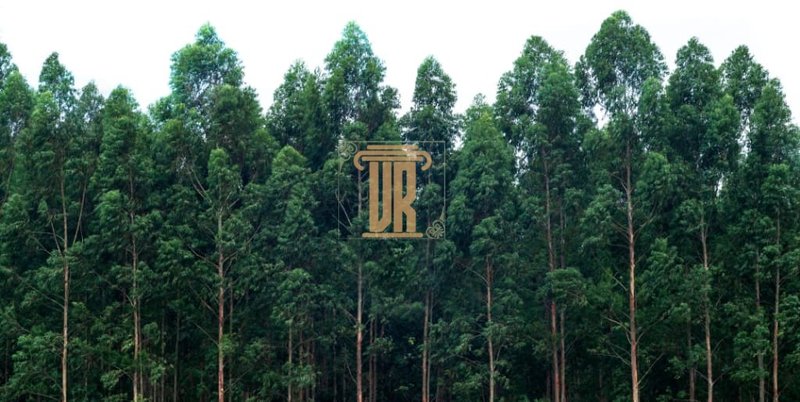 Fazenda de 1.800 alqueires no estado de Minas Gerais  Belo Horizonte - 