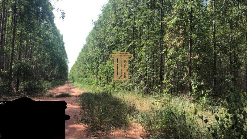 Fazenda de 1.800 alqueires no estado de Minas Gerais  Belo Horizonte - 