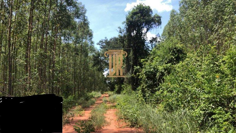 Fazenda de 1.800 alqueires no estado de Minas Gerais  Belo Horizonte - 