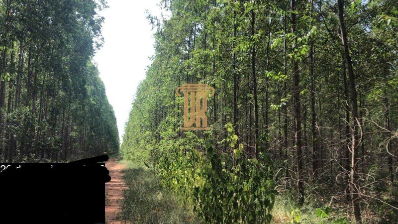 Fazenda de 1.800 alqueires no estado de Minas Gerais  Belo Horizonte - 