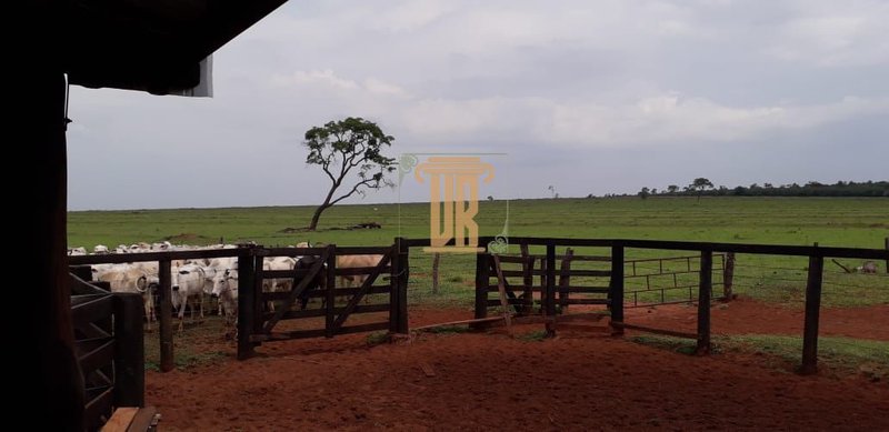 FAZENDA À VENDA REGIÃO DO MATO GROSSO DO SUL COM 1.122 HECTARES  Campo Grande - 