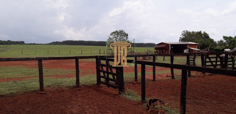 FAZENDA À VENDA REGIÃO DO MATO GROSSO DO SUL COM 1.122 HECTARES  Campo Grande - 
