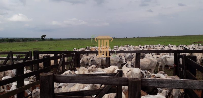 FAZENDA À VENDA REGIÃO DO MATO GROSSO DO SUL COM 1.122 HECTARES  Campo Grande - 