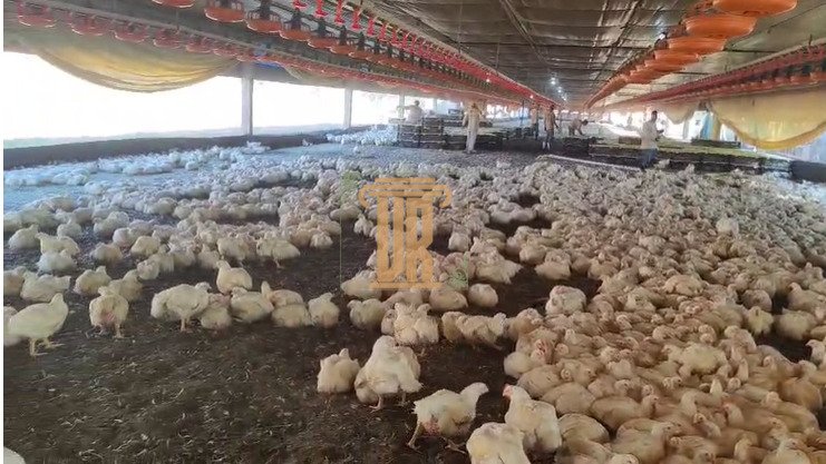 Granja a venda no Estado de Goiás com 39 hectares  São José dos Campos - 