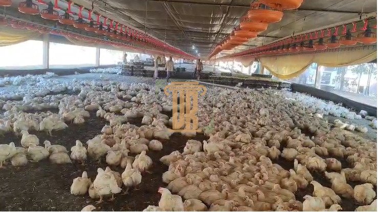 Granja a venda no Estado de Goiás com 39 hectares  São José dos Campos - 