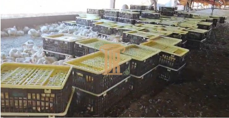 Granja a venda no Estado de Goiás com 39 hectares  São José dos Campos - 