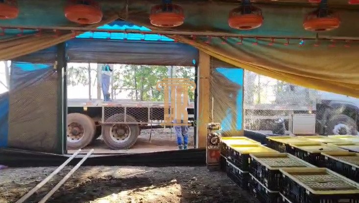 Granja a venda no Estado de Goiás com 39 hectares  São José dos Campos - 