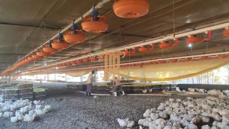 Granja a venda no Estado de Goiás com 39 hectares  São José dos Campos - 