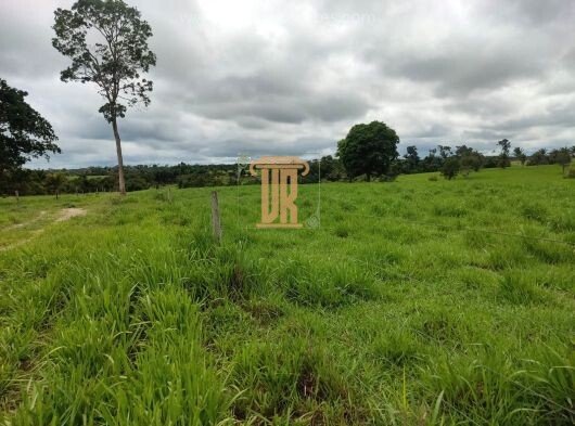 Fazenda de 100 alqueires no Estado do Tocantins  JAU DO TOCANTINS - 