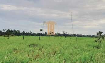 Fazenda de 100 alqueires no Estado do Tocantins  JAU DO TOCANTINS - 