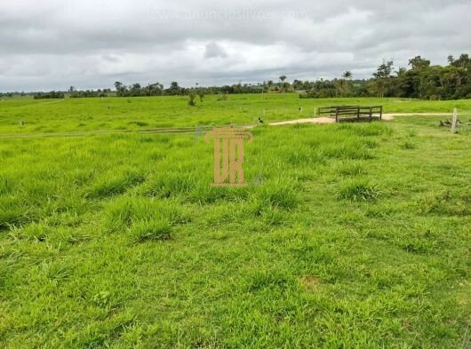 Fazenda de 100 alqueires no Estado do Tocantins  JAU DO TOCANTINS - 