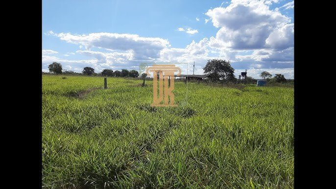 Fazenda de 100 alqueires no Estado do Tocantins  JAU DO TOCANTINS - 