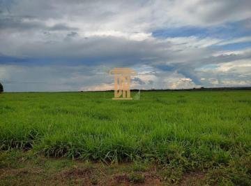 Fazenda de 100 alqueires no Estado do Tocantins  JAU DO TOCANTINS - 