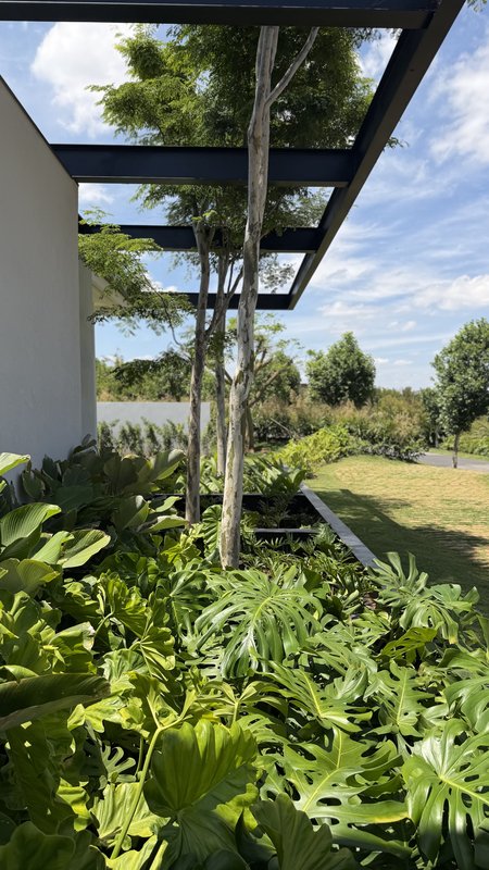 FAZENDA BOA VISTA | CASA TÉRREA NOVA À VENDA Rua das Panteras PORTO FELIZ - 