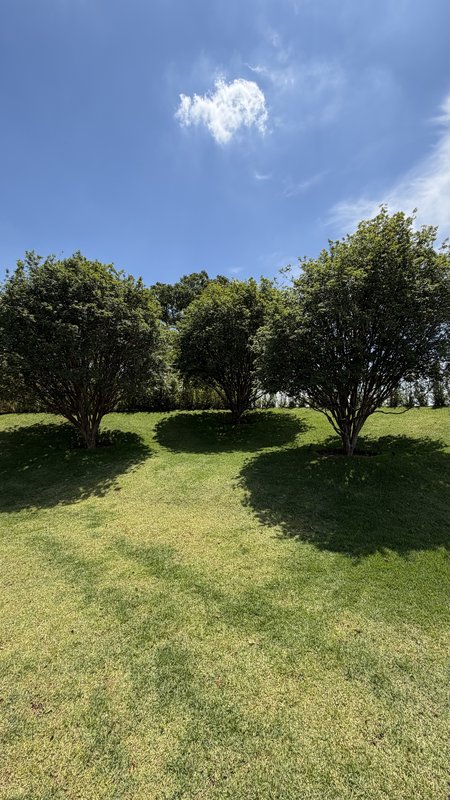 FAZENDA BOA VISTA | CASA TÉRREA NOVA À VENDA Rua das Panteras PORTO FELIZ - 