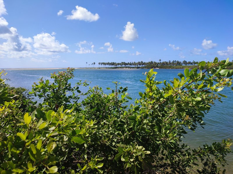 Apartamento de 2/4 -Barra de Jacuípe - condominio Com Acesso direto ao Rio rua direta de jacuipe Camaçari - 