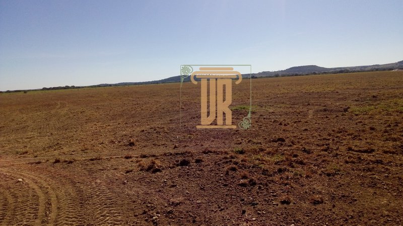 Fazenda no estado de Goiás com 150 alqueires  Goiânia - 