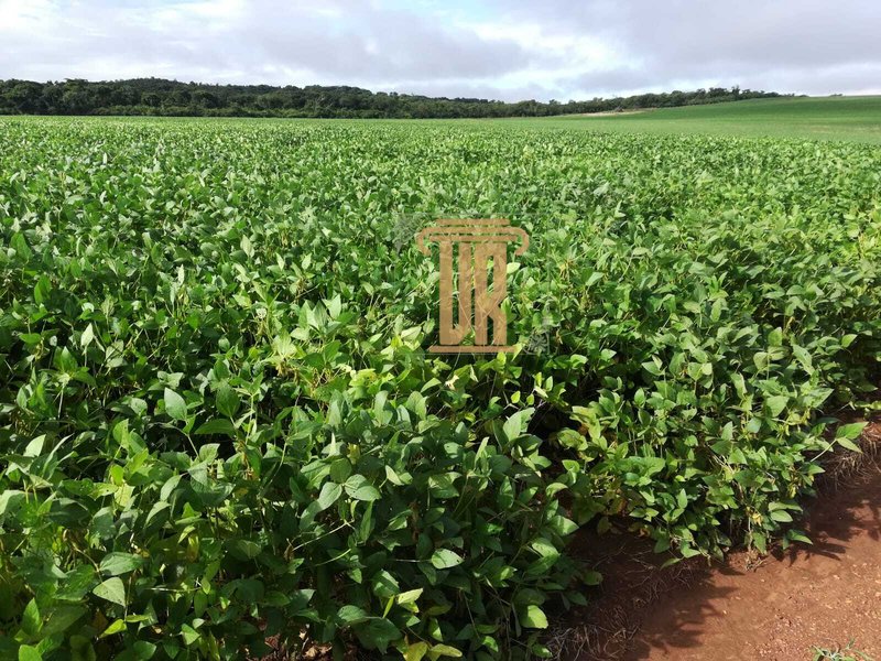 Fazenda no estado de Goiás com 150 alqueires  Goiânia - 