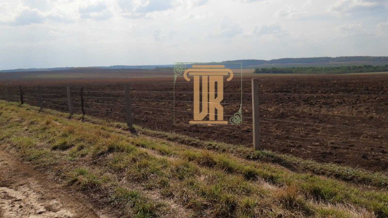 Fazenda no estado de Goiás com 150 alqueires  Goiânia - 