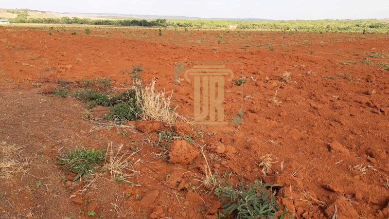 Fazenda no estado de Goiás com 150 alqueires  Goiânia - 