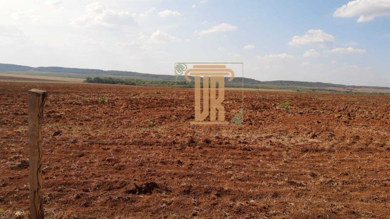 Fazenda no estado de Goiás com 150 alqueires  Goiânia - 