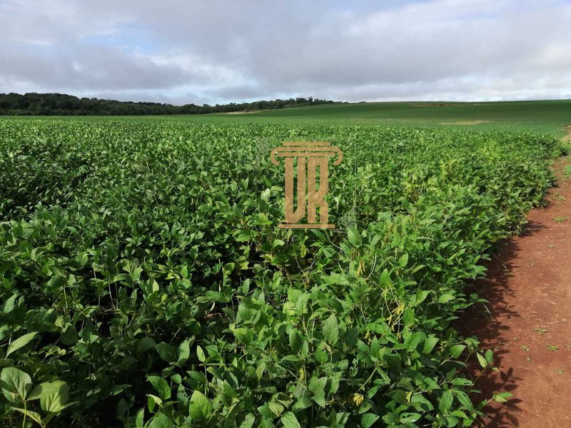 Fazenda no estado de Goiás com 150 alqueires  Goiânia - 