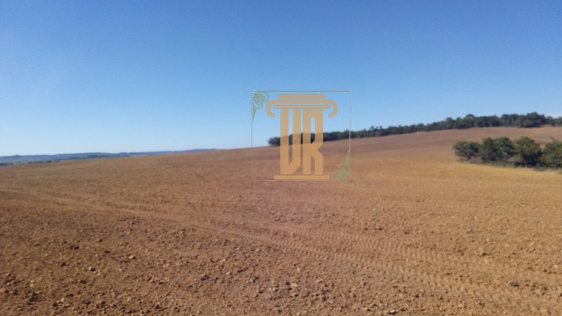 Fazenda no estado de Goiás com 150 alqueires  Goiânia - 