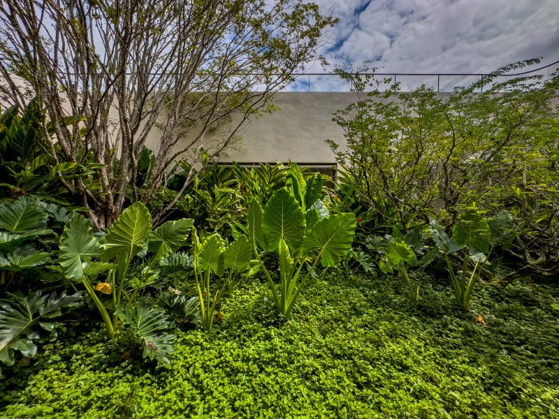 Um refúgio cinematográfico para chamar de seu! Alameda dos Esquilos PORTO FELIZ - 