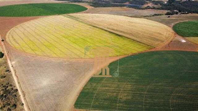 FAZENDA DE OPORTUNIDADE EM CRISTALINA GO  - - 