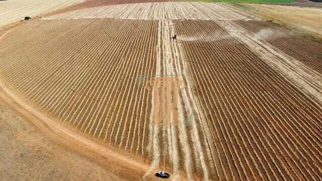 FAZENDA DE OPORTUNIDADE EM CRISTALINA GO  - - 