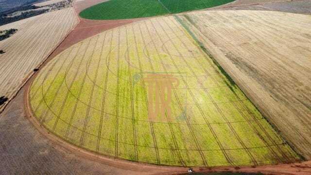 FAZENDA DE OPORTUNIDADE EM CRISTALINA GO  - - 