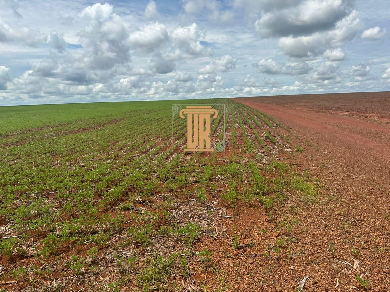 FAZENDA A VENDA EM ÁGUA BOA- MT com 3.620 HECTARES  AGUA BOA - 