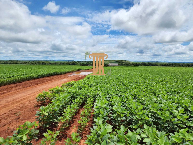 FAZENDA A VENDA EM ÁGUA BOA- MT com 3.620 HECTARES  AGUA BOA - 