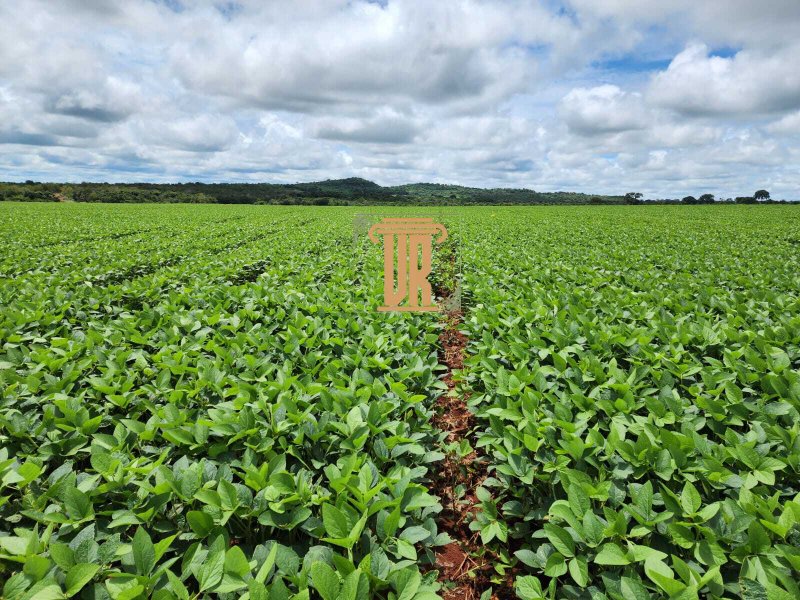 FAZENDA A VENDA EM ÁGUA BOA- MT com 3.620 HECTARES  AGUA BOA - 