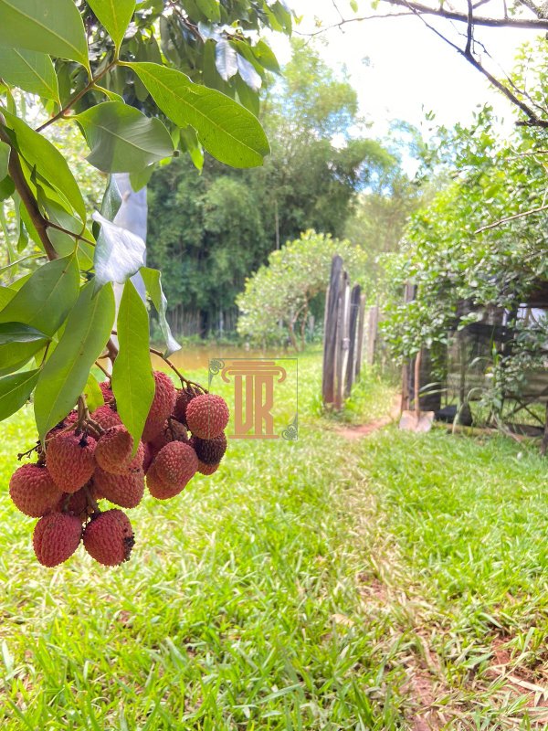 Chácara com 2.500m² em condomínio de Taubaté - SP  Taubaté - 