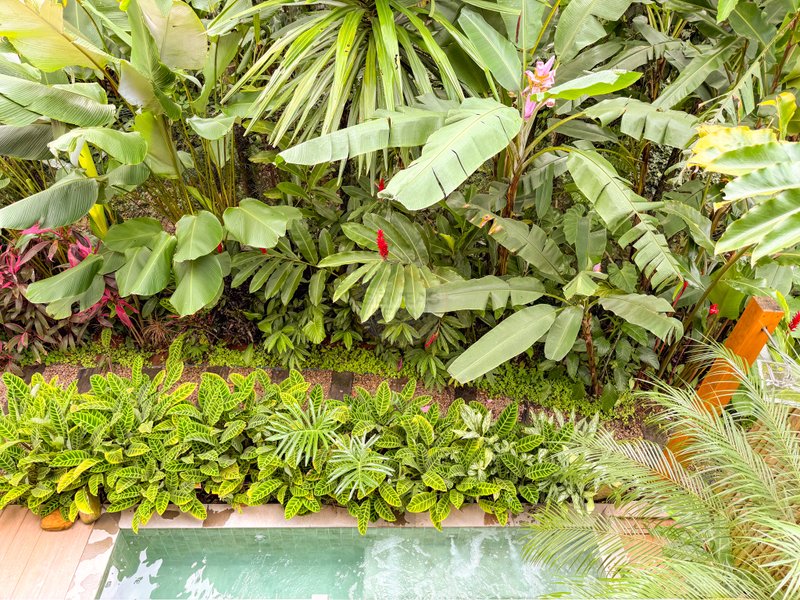 Casa de Alto Padr&atilde;o Condom&iacute;nio - Reformada, Sofisticada e Integrada &aacute; Natureza - VENDA  São Sebastião - 