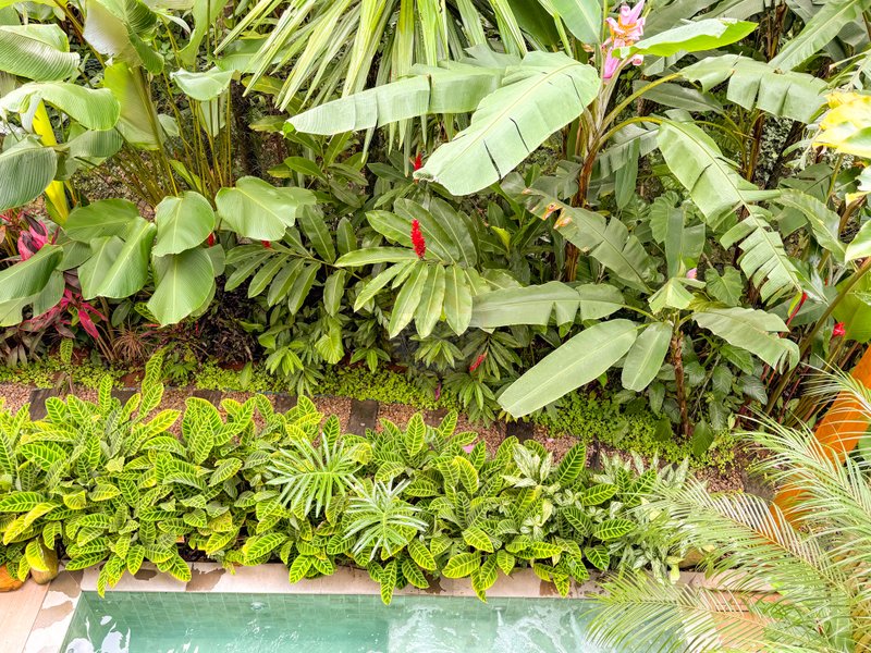 Casa de Alto Padr&atilde;o Condom&iacute;nio - Reformada, Sofisticada e Integrada &aacute; Natureza - VENDA  São Sebastião - 