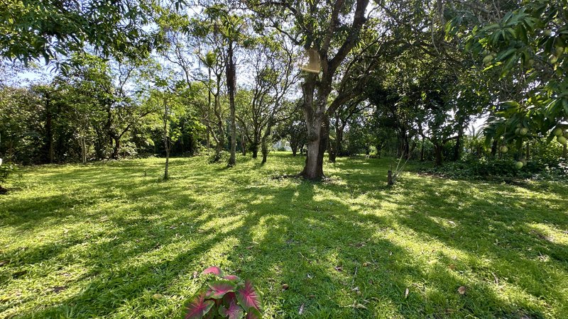 S&iacute;tio Completo em Guapimirim &ndash; Paz, Natureza e Seguran&ccedil;a por Apenas R$ 250.000! Rua Alexandre Gusmão Guapimirim - 