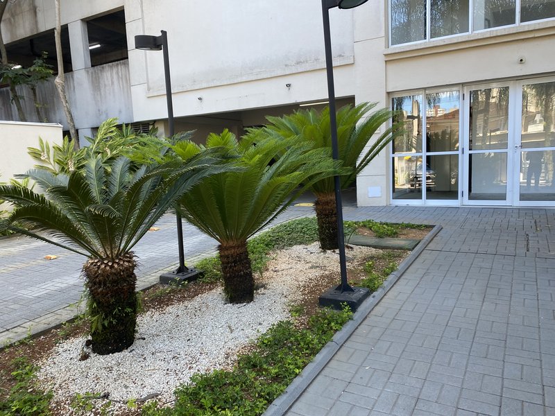 🌿 Apartamento para Locação – Way Orquidário | Santos – Marapé Rua Godofredo Fraga Santos - 