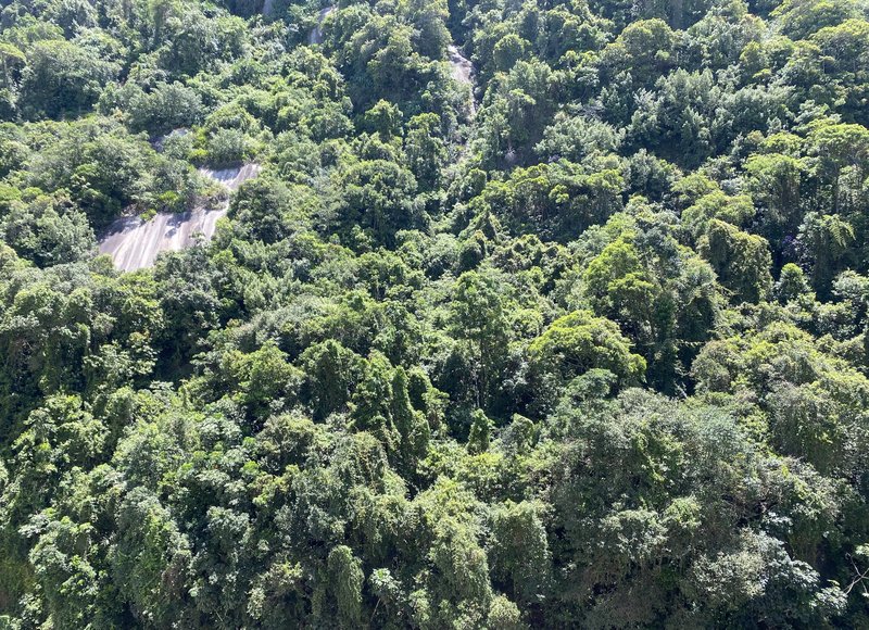 🌿 Apartamento para Locação – Way Orquidário | Santos – Marapé Rua Godofredo Fraga Santos - 