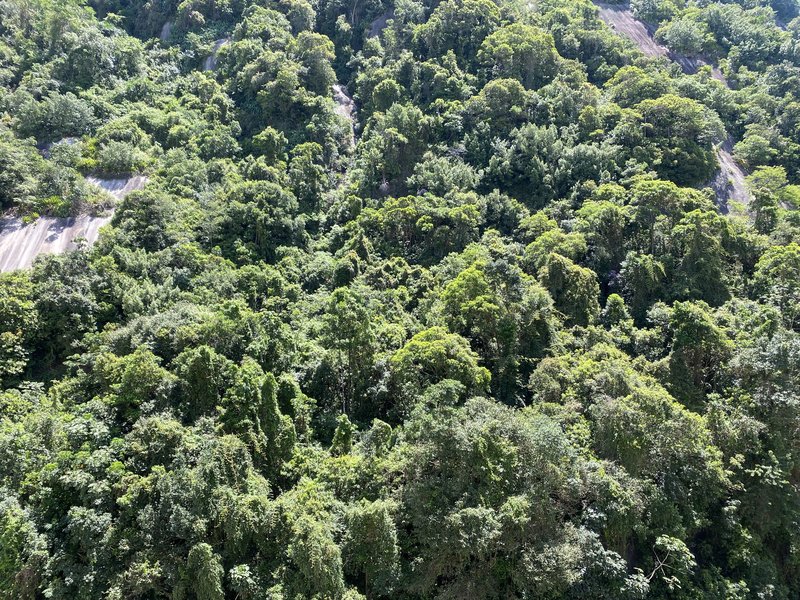 🌿 Apartamento para Locação – Way Orquidário | Santos – Marapé Rua Godofredo Fraga Santos - 