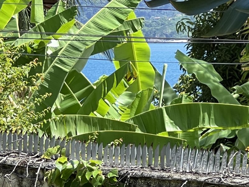 VENDE-SE CASA 4 QUARTOS - 220M2 - EXCELENTE OPORTUNIDADE DE TER SUA CASA EM ILHABELA!! Rua Projetada  Ilhabela - 