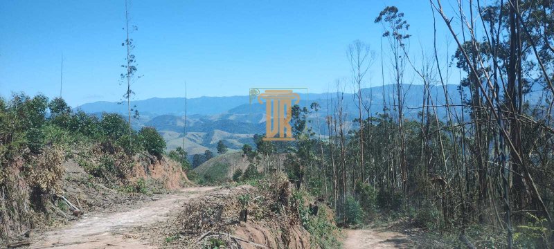 Áreas rurais a venda em Monteiro Lobato - SP  MONTEIRO LOBATO - 