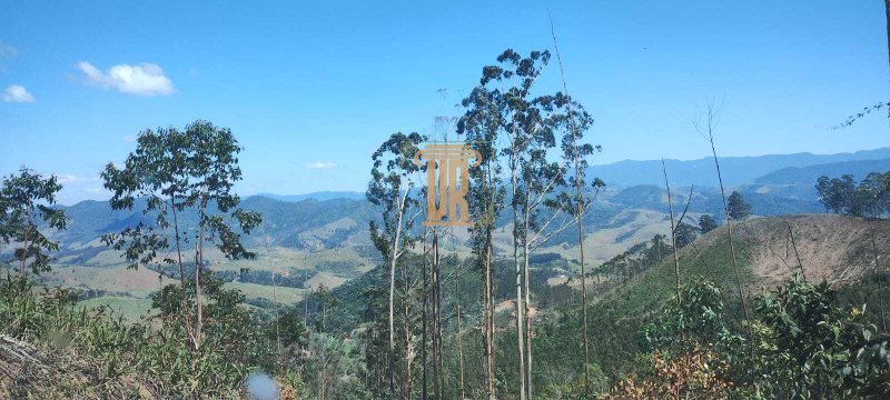 Áreas rurais a venda em Monteiro Lobato - SP  MONTEIRO LOBATO - 