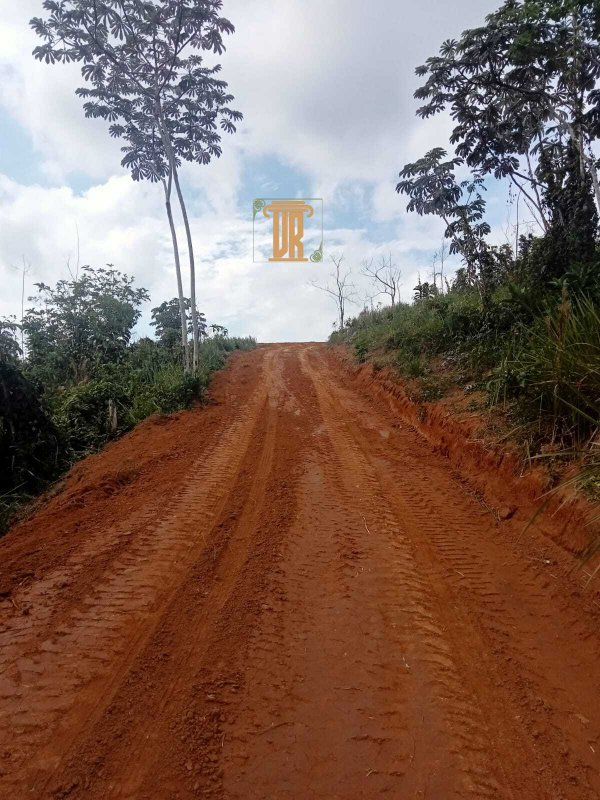 Áreas rurais a venda em Monteiro Lobato - SP  MONTEIRO LOBATO - 